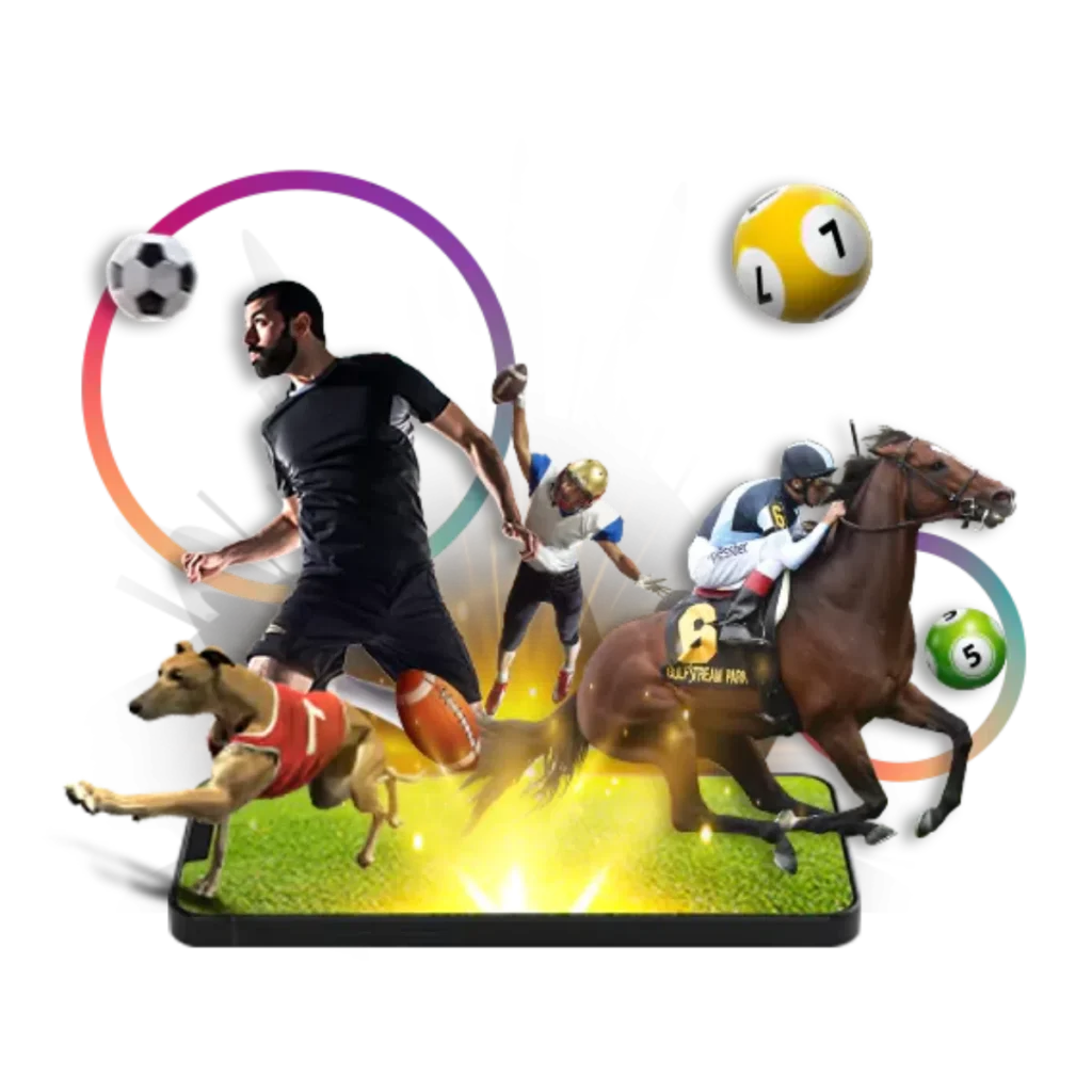 13.png 2